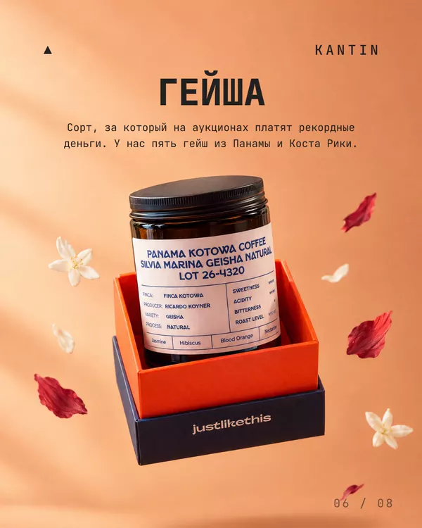 Зерно · гейша